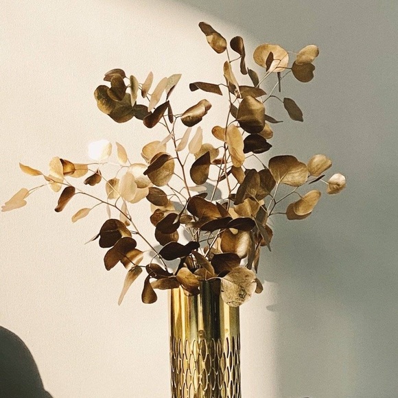 Welcome to my closet! :) - Picture 1 of 5